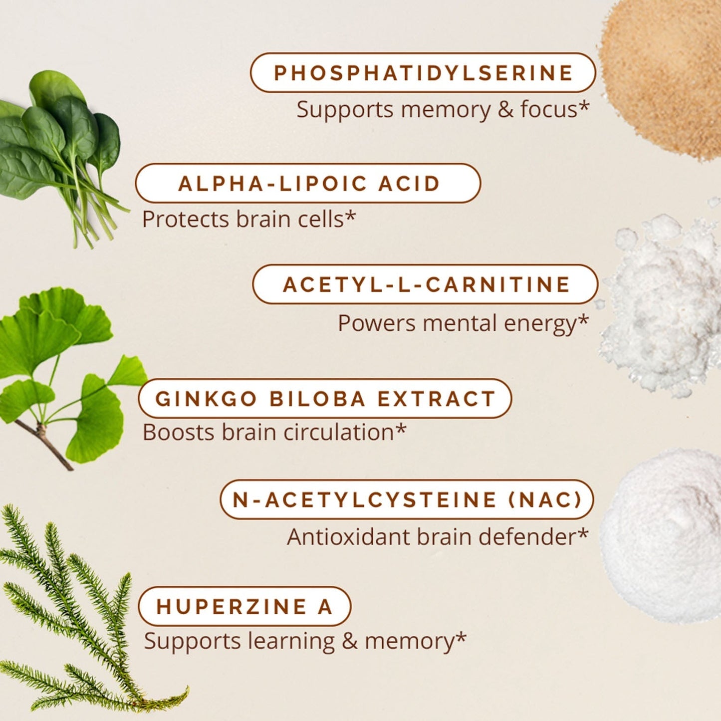 Brain & Memory Power Boost