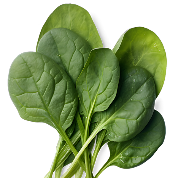 Alpha-Lipoic Acid